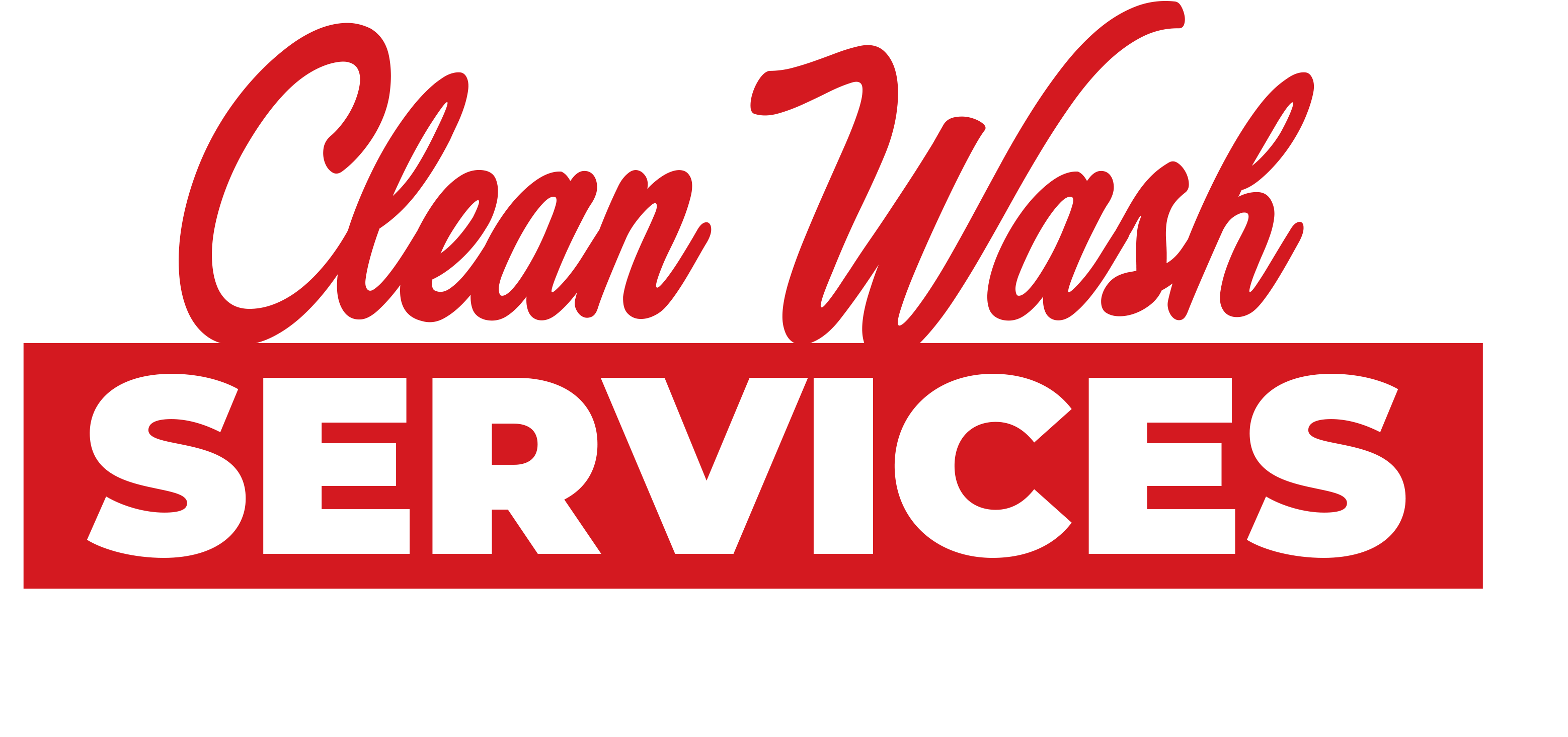 CleanWash Services entreprise nettoyage de canapé